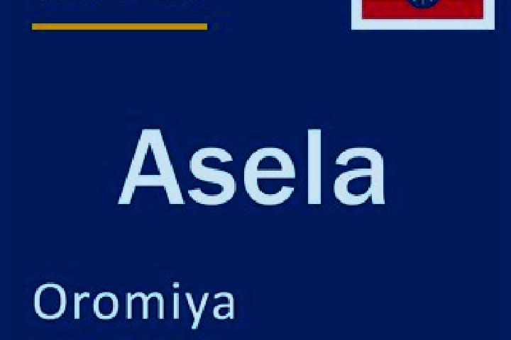 10 escort profiles in Asela, Ethiopia. Browse companions, services, rates and book online. Incall and outcall available.