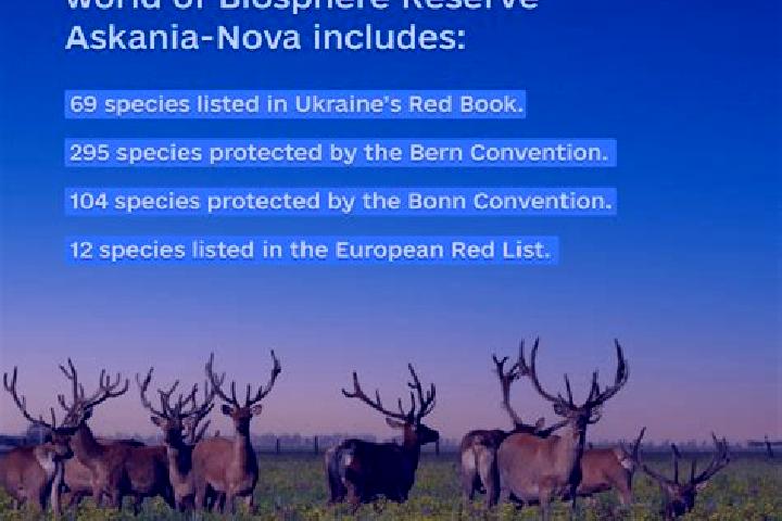 10 escort profiles in Askaniya-Nova, Ukraine. Browse companions, services, rates and book online. Incall and outcall available.