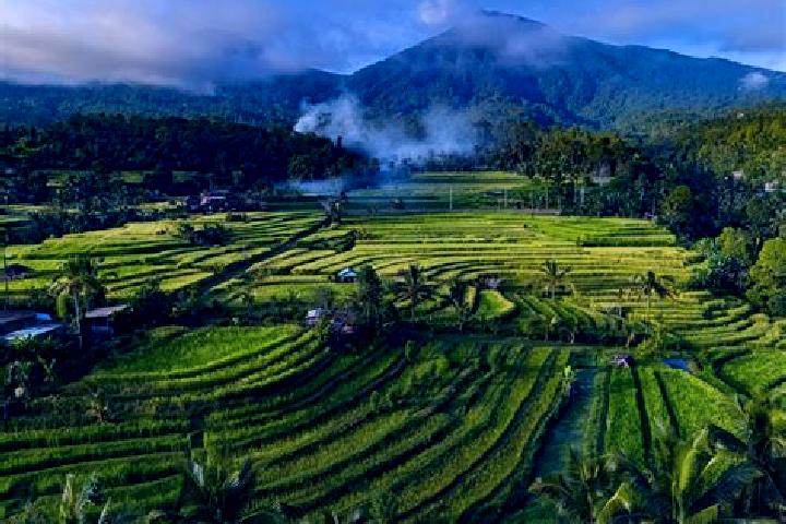 10 escort profiles in Banjar Ababi, Indonesia. Browse companions, services, rates and book online. Incall and outcall available.