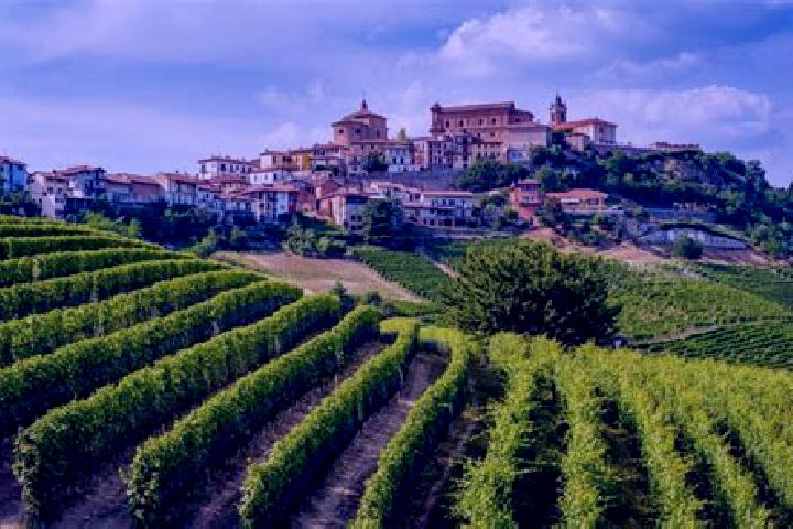 10 escort profiles in Belvedere Langhe, Italy. Browse companions, services, rates and book online. Incall and outcall available.