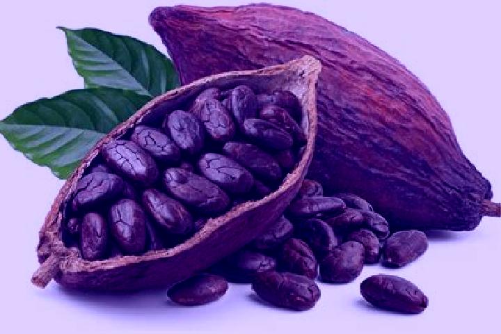 10 escort profiles in Cacao, Mexico. Browse companions, services, rates and book online. Incall and outcall available.