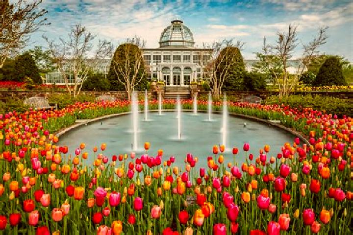 10 escort profiles in Central Gardens, United States. Browse companions, services, rates and book online. Incall and outcall available.