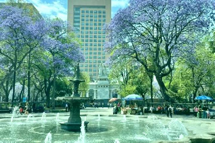 10 escort profiles in Jacarandas, Mexico. Browse companions, services, rates and book online. Incall and outcall available.
