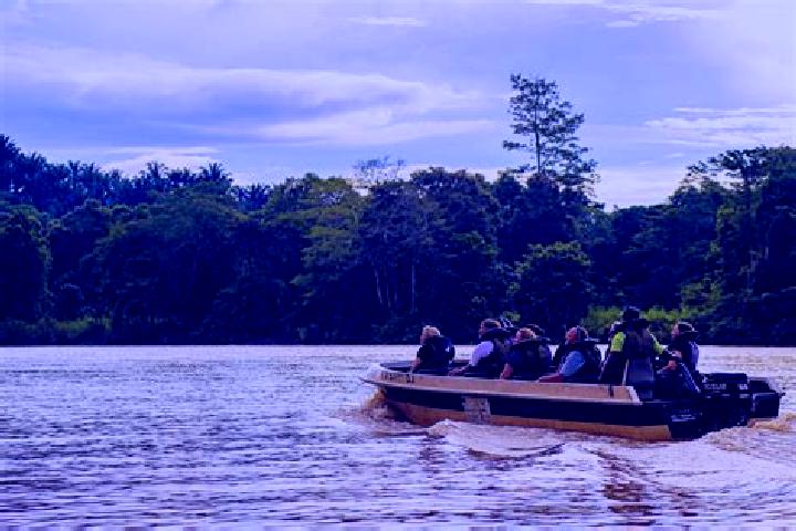 10 escort profiles in Kinabatangan, Malaysia. Browse companions, services, rates and book online. Incall and outcall available.