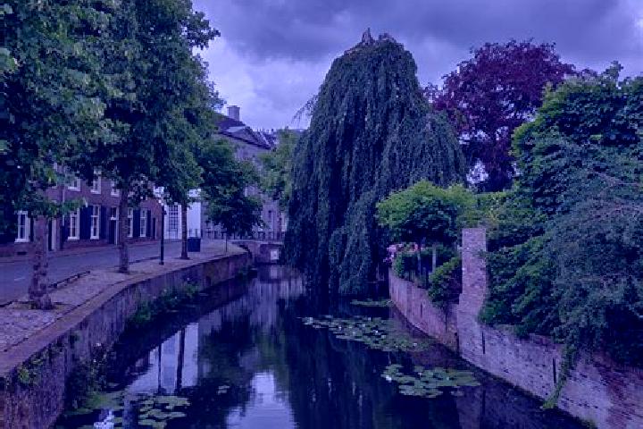 10 escort profiles in Leusden-Zuid, Netherlands. Browse companions, services, rates and book online. Incall and outcall available.