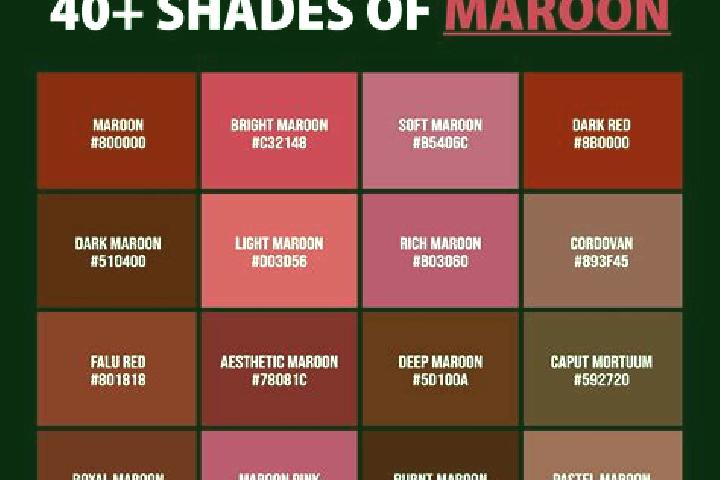 10 escort profiles in Maron, France. Browse companions, services, rates and book online. Incall and outcall available.