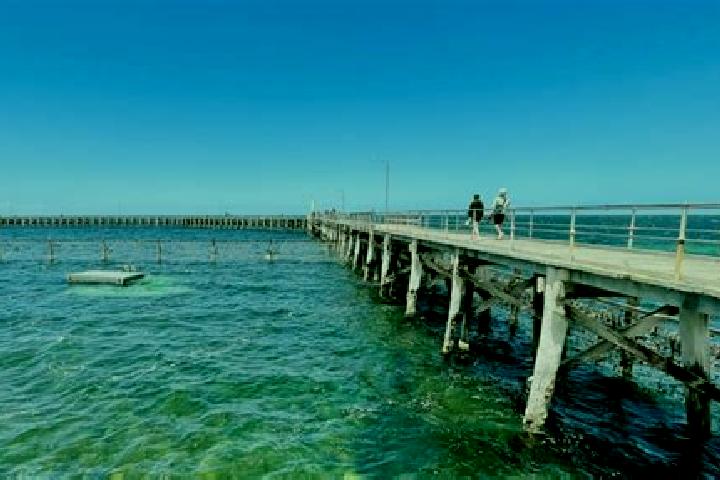 10 escort profiles in Moonta Bay, Australia. Browse companions, services, rates and book online. Incall and outcall available.