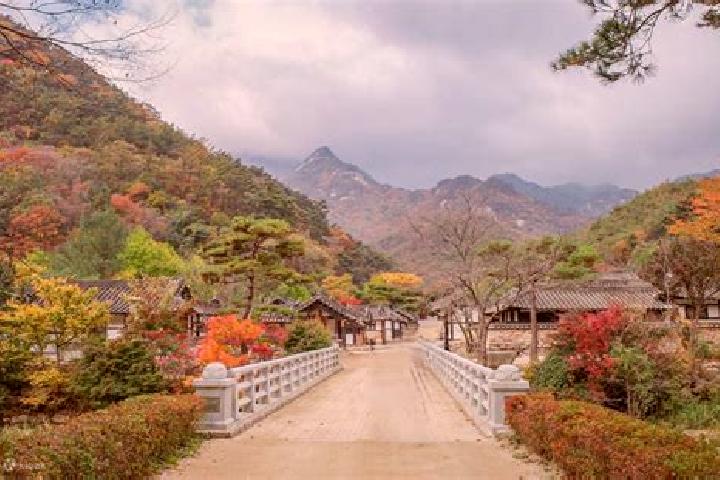10 escort profiles in Mungyeong, South Korea. Browse companions, services, rates and book online. Incall and outcall available.