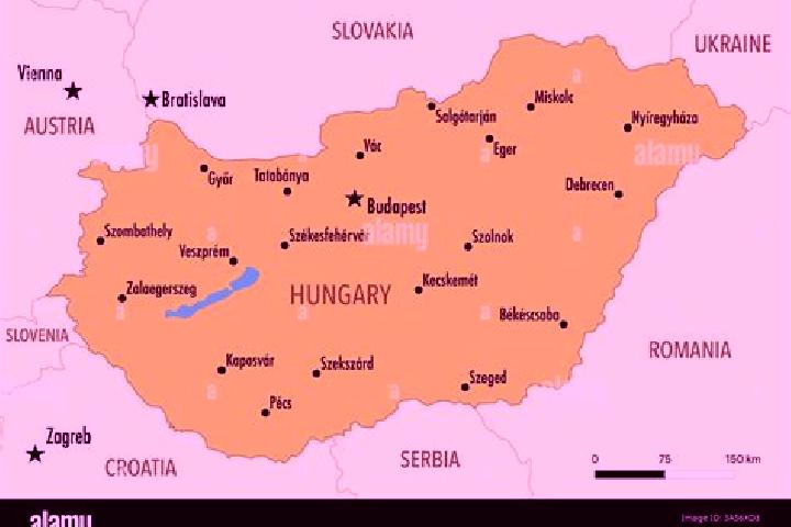10 escort profiles in Nyirmihalydi, Hungary. Browse companions, services, rates and book online. Incall and outcall available.