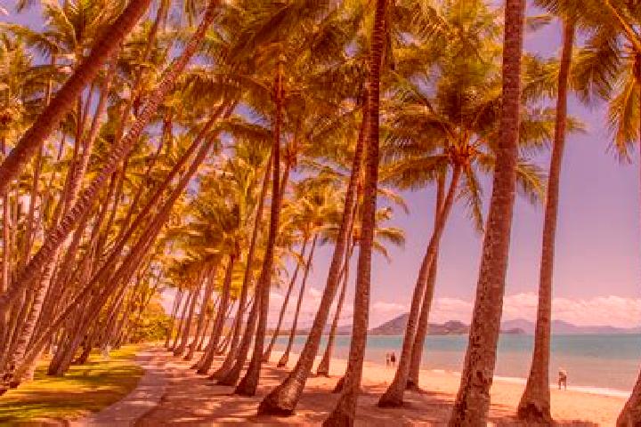 10 escort profiles in Palm Cove, Australia. Browse companions, services, rates and book online. Incall and outcall available.