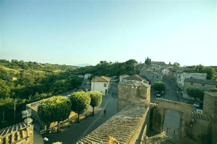 10 escort profiles in Sipicciano, Italy. Browse companions, services, rates and book online. Incall and outcall available.