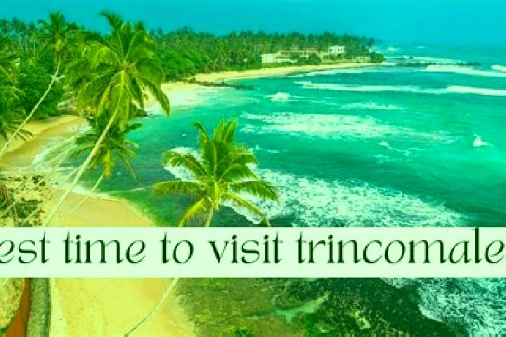 10 escort profiles in Trincomalee, Sri Lanka. Browse companions, services, rates and book online. Incall and outcall available.