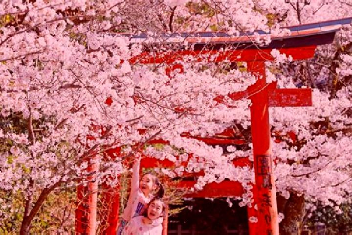 10 escort profiles in Yoshino, Japan. Browse companions, services, rates and book online. Incall and outcall available.