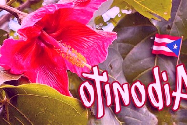 11 escort profiles in Aibonito, Puerto Rico. Browse companions, services, rates and book online. Incall and outcall available.