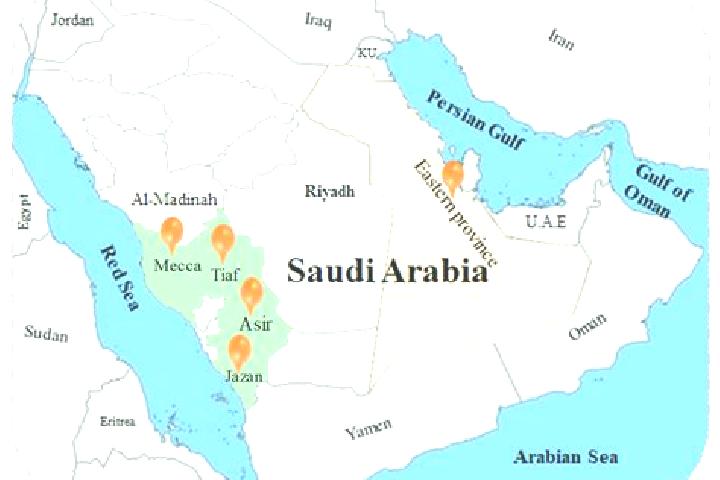 11 escort profiles in Al Wafrah, Kuwait. Browse companions, services, rates and book online. Incall and outcall available.