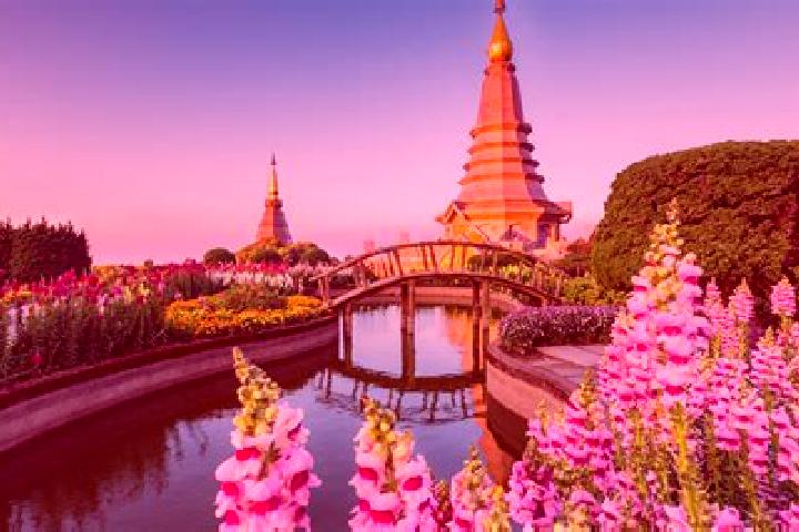 11 escort profiles in Bang Saphan Noi, Thailand. Browse companions, services, rates and book online. Incall and outcall available.