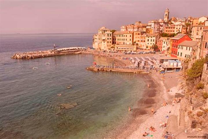 11 escort profiles in Bogliasco, Italy. Browse companions, services, rates and book online. Incall and outcall available.