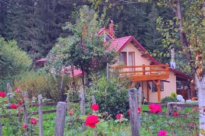 11 escort profiles in Campu lui Neag, Romania. Browse companions, services, rates and book online. Incall and outcall available.