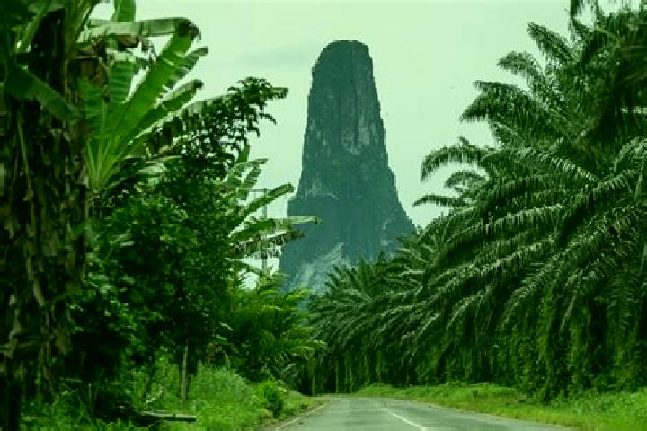 11 escort profiles in Capela, Sao Tome and Principe. Browse companions, services, rates and book online. Incall and outcall available.