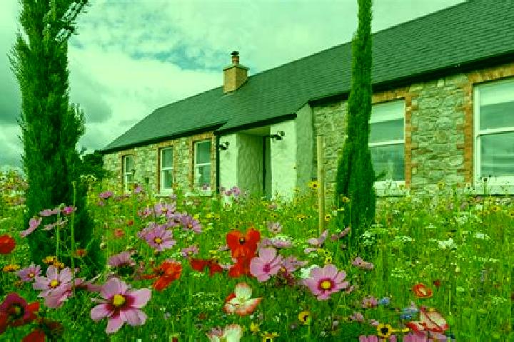 11 escort profiles in Carlanstown, Ireland. Browse companions, services, rates and book online. Incall and outcall available.