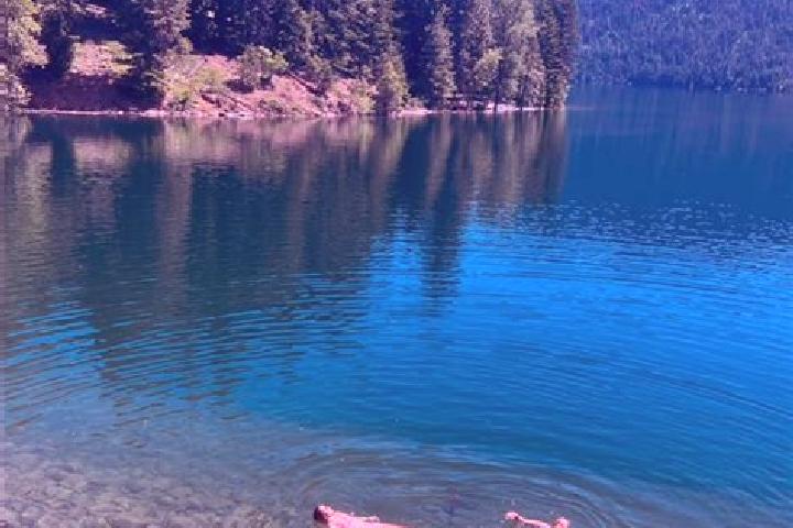 11 escort profiles in Cle Elum, United States. Browse companions, services, rates and book online. Incall and outcall available.