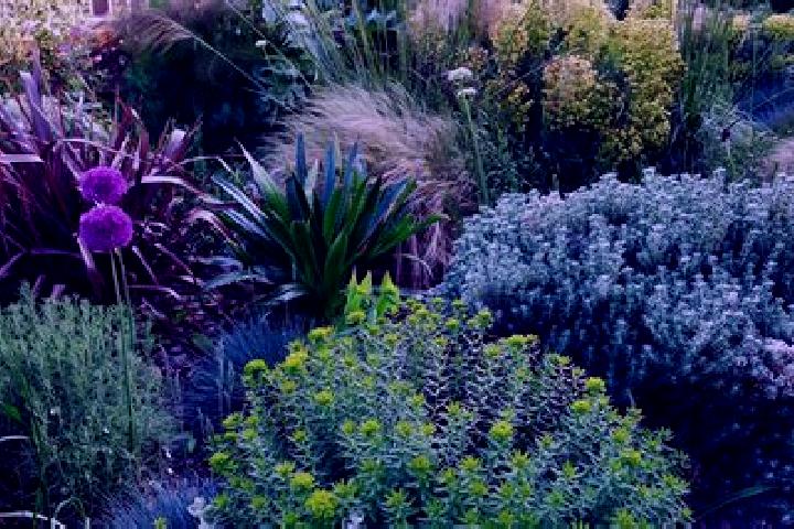 11 escort profiles in Colonel Light Gardens, Australia. Browse companions, services, rates and book online. Incall and outcall available.