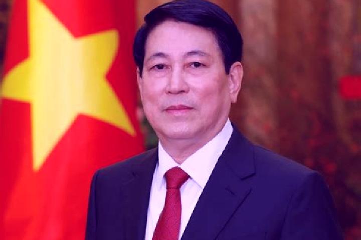 11 escort profiles in Con Cuong, Vietnam. Browse companions, services, rates and book online. Incall and outcall available.