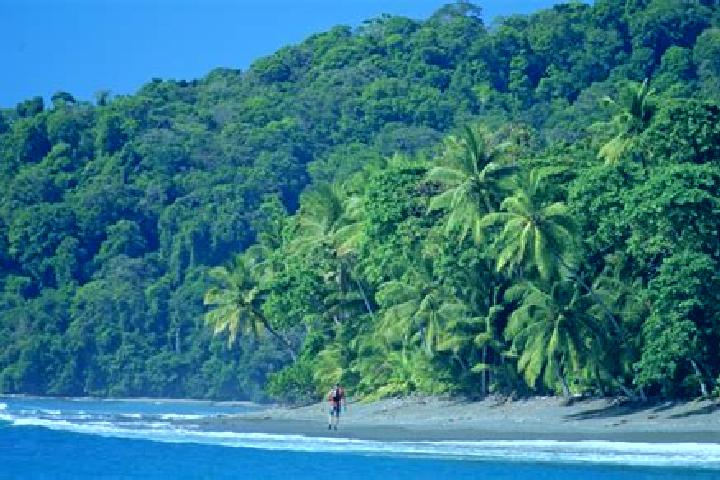 11 escort profiles in El Corcovado, Mexico. Browse companions, services, rates and book online. Incall and outcall available.