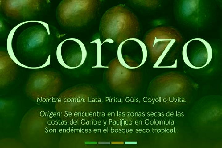 11 escort profiles in El Corozo, Venezuela. Browse companions, services, rates and book online. Incall and outcall available.