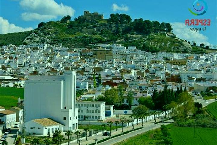 11 escort profiles in Espera, Spain. Browse companions, services, rates and book online. Incall and outcall available.