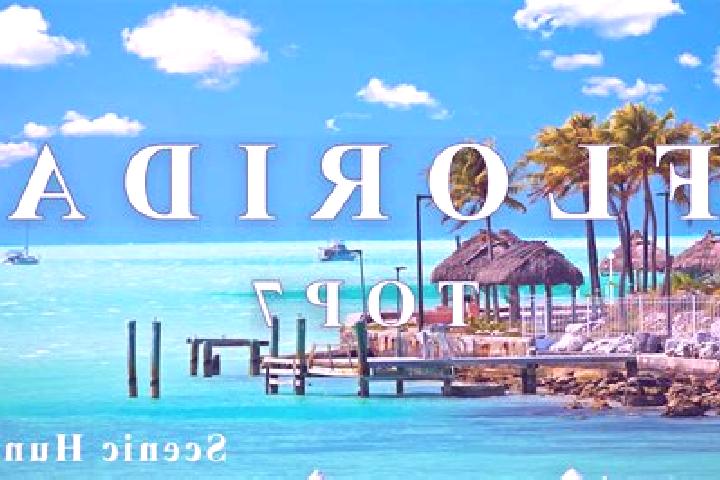 11 escort profiles in Florida, Puerto Rico. Browse companions, services, rates and book online. Incall and outcall available.