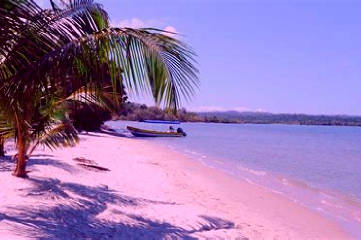 11 escort profiles in Guanagazapa, Guatemala. Browse companions, services, rates and book online. Incall and outcall available.