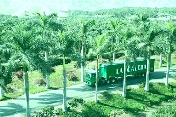 11 escort profiles in Hacienda La Calera, Chile. Browse companions, services, rates and book online. Incall and outcall available.