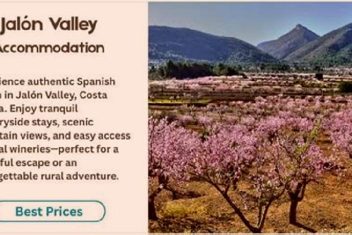 11 escort profiles in Jalon, Spain. Browse companions, services, rates and book online. Incall and outcall available.