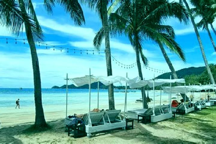 11 escort profiles in Koh Tao, Thailand. Browse companions, services, rates and book online. Incall and outcall available.