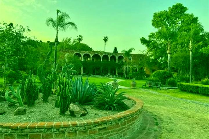 11 escort profiles in La Estancita, Mexico. Browse companions, services, rates and book online. Incall and outcall available.