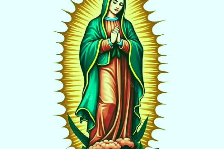 11 escort profiles in La Guadalupana, Mexico. Browse companions, services, rates and book online. Incall and outcall available.