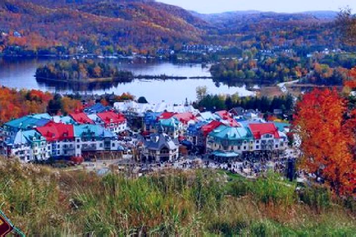 11 escort profiles in Mont-Tremblant, Canada. Browse companions, services, rates and book online. Incall and outcall available.