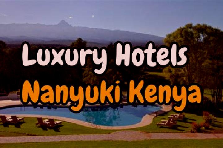 11 escort profiles in Ndunyu Njeru, Kenya. Browse companions, services, rates and book online. Incall and outcall available.