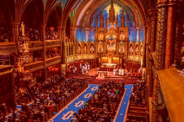 11 escort profiles in Notre-Dame-des-Erables, Canada. Browse companions, services, rates and book online. Incall and outcall available.