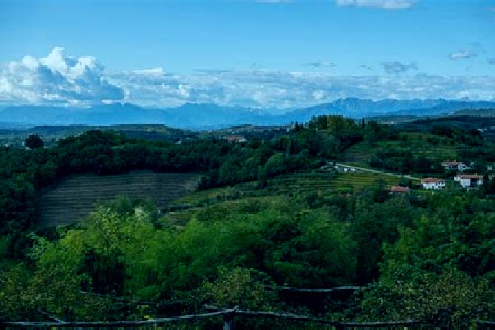 11 escort profiles in Nove-San Floriano, Italy. Browse companions, services, rates and book online. Incall and outcall available.