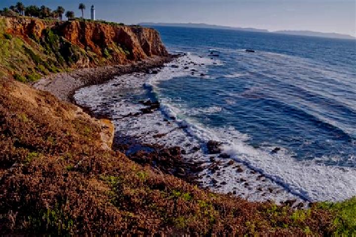 11 escort profiles in Palos Verdes, Mexico. Browse companions, services, rates and book online. Incall and outcall available.