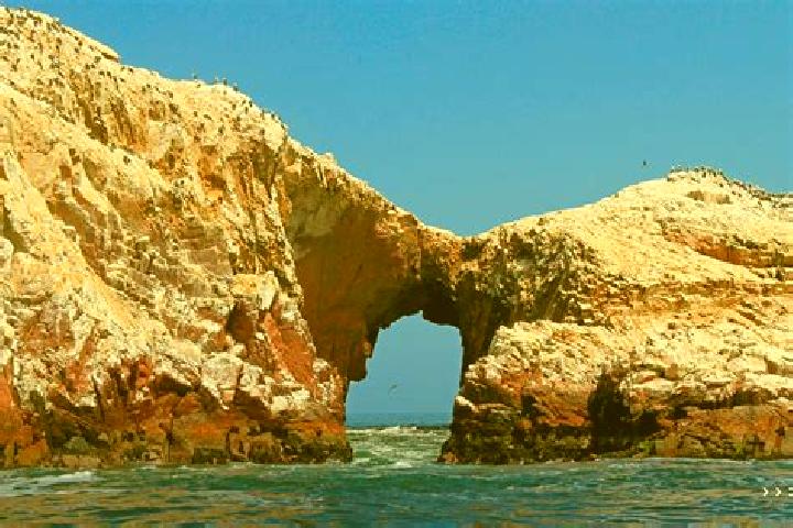 11 escort profiles in Paracas, Peru. Browse companions, services, rates and book online. Incall and outcall available.