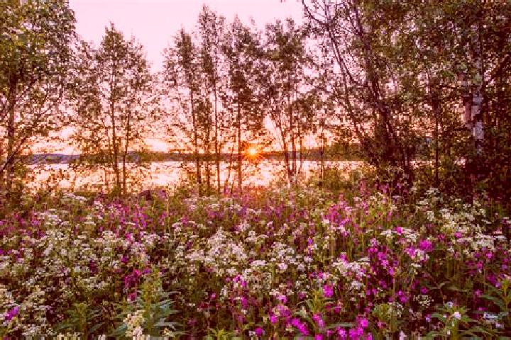 11 escort profiles in Sandhult, Sweden. Browse companions, services, rates and book online. Incall and outcall available.