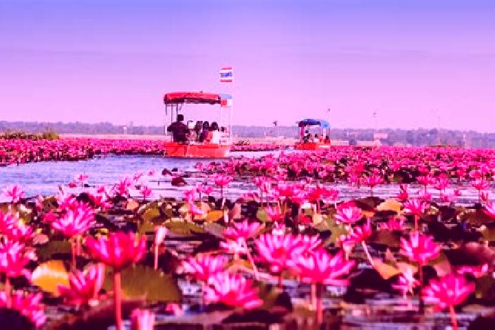 11 escort profiles in Sang Khom, Thailand. Browse companions, services, rates and book online. Incall and outcall available.