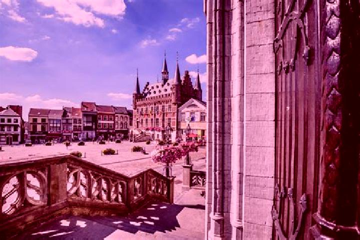 11 escort profiles in Schendelbeke, Belgium. Browse companions, services, rates and book online. Incall and outcall available.