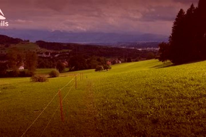 11 escort profiles in Seuzach Dorf / Puenten-Ifang, Switzerland. Browse companions, services, rates and book online. Incall and outcall available.