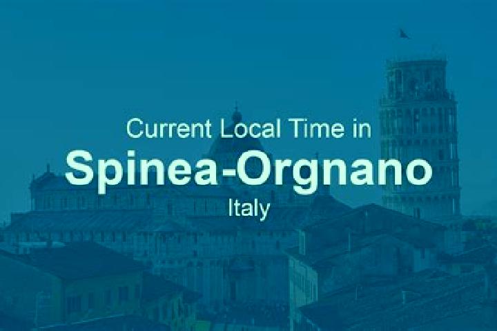11 escort profiles in Spinea-Orgnano, Italy. Browse companions, services, rates and book online. Incall and outcall available.