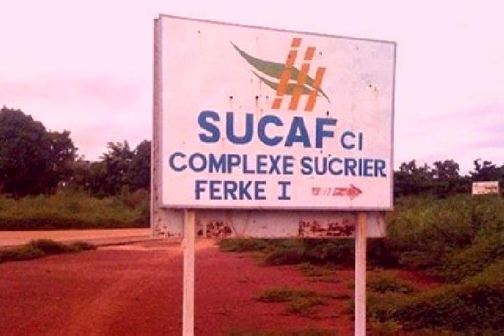 11 escort profiles in Sucaf Ci Village, Ivory Coast. Browse companions, services, rates and book online. Incall and outcall available.