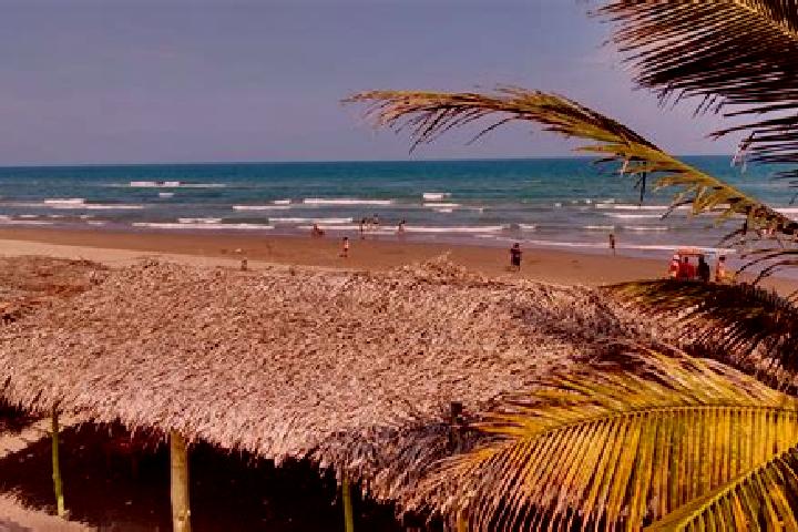 11 escort profiles in Tecolutla, Mexico. Browse companions, services, rates and book online. Incall and outcall available.